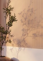 NMC_02_005162.jpg